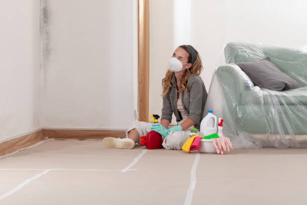 Reliable Crawl Space Mold Removal contractor in Abington, PA by WQB Mold Removal